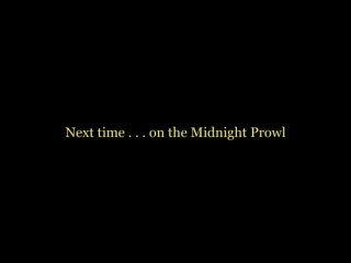 Midnight Prowl Vol. 3 - Scène4 - 6