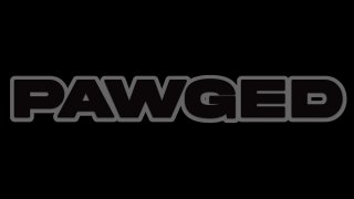 100% PAWG 5 - Scene4 - 1