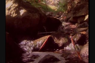 Gypsy Curse - Scene6 - 1