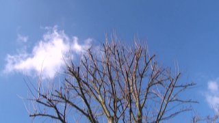 Das verfickte Mietshaus 3 - Escena5 - 1