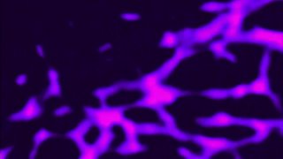 Silvia &amp; Friends Masturbate 2 - Scena3 - 1