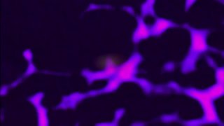 Silvia &amp; Friends Masturbate 2 - Scena6 - 1