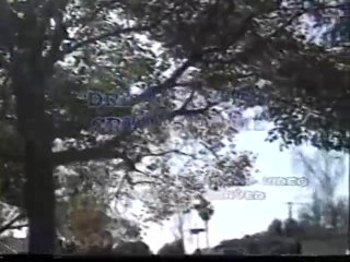 Sodomania Vol. 1 - Escena1 - 1