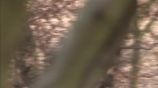 Absolute Euro Anal - Scena3 - 1