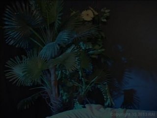 Transsexual Seduction - Scene2 - 6