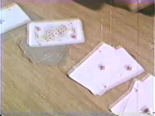 Peepshow Loops 230 (All Diamond &amp; All Interracial) - Szene11 - 1