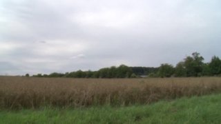 Bauernhof Schlampen - Scène9 - 1