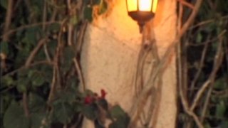 Notgeile MILFS - Scene2 - 6