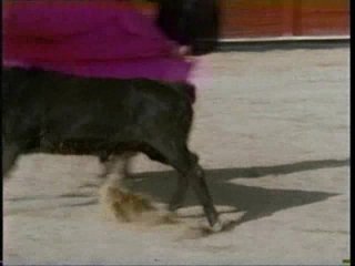 Torero - Cena9 - 2