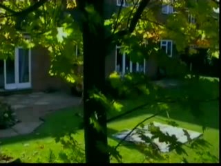 Your Choice Viewers&#39; Wives #33 - Escena1 - 1
