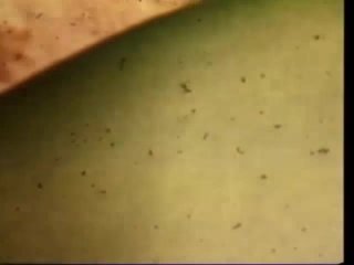 Solo Masturbating Sluts - Scena1 - 5