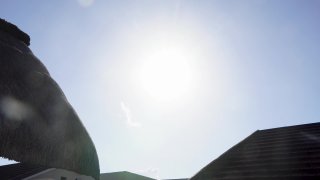 Tropical Treats - Scene2 - 1
