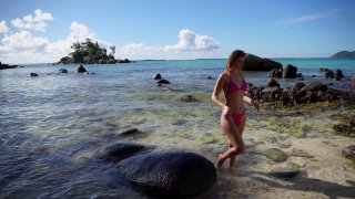 Tropical Treats - Scene5 - 1