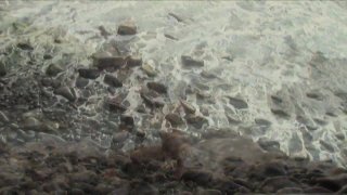 Teradise Island 2 - Scene6 - 3