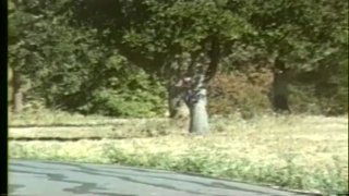 Hot Summer Fights - Scene1 - 1