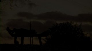 Days Without Youth - Scene2 - 6
