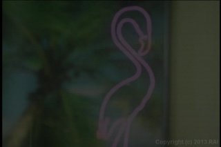 Amateur Angels 15 - Scene5 - 1