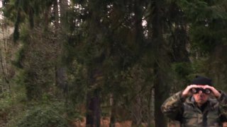 Vogel(n) im Wald #2 - Scena2 - 1