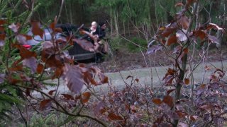 Vogel(n) im Wald #2 - Scena2 - 4