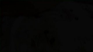 She Loves Pussy - Scene2 - 6