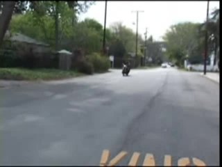 Speed Racer Bitch - Escena1 - 1
