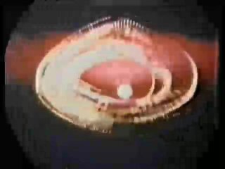 Peepshow Loops 48: 1970&#39;s (Color) - Scene13 - 1