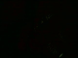 Adam &amp; Eve Signature Series Volume 3: Alexandra Silk - Scene2 - 6