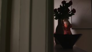 In The Room: I Like To Watch Vol. 3 - Scene2 - 1