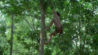 Jungle Blue - Escena2 - 2
