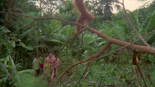 Jungle Blue - Escena3 - 6