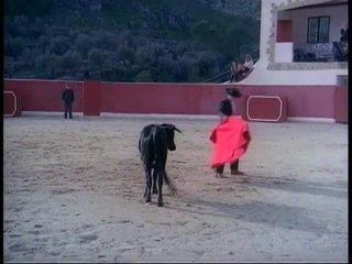 Flamenco Ecstasy - Scene9 - 2