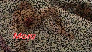 Blowjob Playoffs - Round 1 - Cena3 - 6