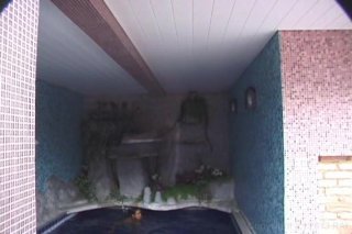 Tranny Shop 11 - Scena1 - 1