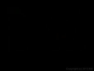 Shemale Booty Bangers 2 - Cena1 - 1