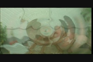 Pretty Little Latinas 28 - Scene8 - 5