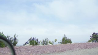 Nuru Fixes Everything 2 - Scena6 - 1