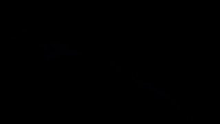 Meine Nichte Ist Ein Versautes Flittchen - Escena2 - 1