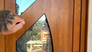 Her Little Anal Desire - Scena1 - 1