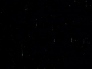 Black Is Beautiful - Scène1 - 1