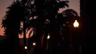 Tango To Romance - Softcore - Scena4 - 2