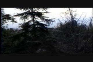 Anal Vision 8 - Szene3 - 1