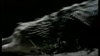 Homo Erectus - Scena2 - 2