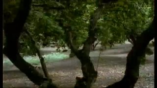 Homo Erectus - Scena3 - 1