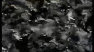 Homo Erectus - Scena7 - 1
