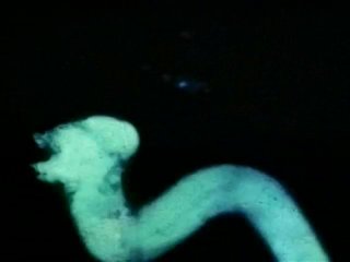Kink-O-Rama Loops Collection Remastered Grindhouse Edition - Scena4 - 1