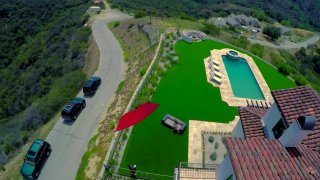 Latina Pets in Heat - Scena1 - 1