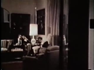 Peepshow Loops 295: 1970s (All Color) - Cena10 - 2