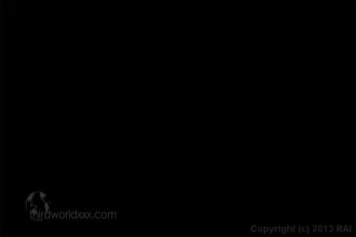 Ladyboy Longlegs #3 - Scene3 - 6
