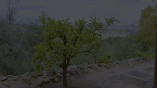 Rough Desires - Scene2 - 1