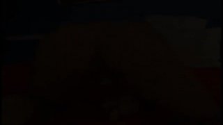 Home Alone Caught In Action III - Escena8 - 1